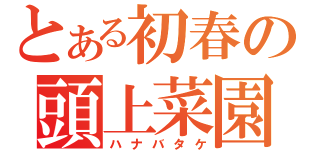 とある初春の頭上菜園（ハナバタケ）