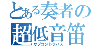 とある奏者の超低音笛（サブコントラバス）