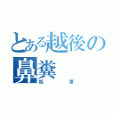 とある越後の鼻糞（鉛筆）