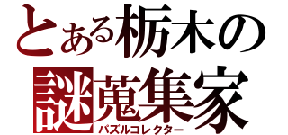 とある栃木の謎蒐集家（パズルコレクター）