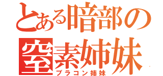 とある暗部の窒素姉妹（ブラコン姉妹）