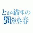 とある猫咪の超强永春（我要打十個）