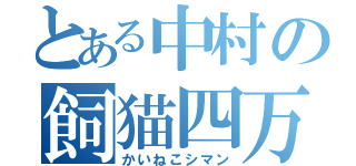 とある中村の飼猫四万（かいねこシマン）