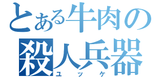 とある牛肉の殺人兵器（ユッケ）