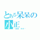 とある呆呆の小正（™呆呆 の小㊣）