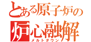 とある原子炉の炉心融解（メルトダウン）