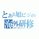 とある旭ビジの海外研修（スクールトリップ）