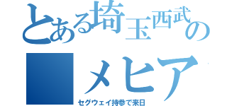 とある埼玉西武の　メヒア（セグウェイ持参で来日）