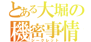 とある大堀の機密事情（シークレット）