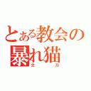 とある教会の暴れ猫（文乃）