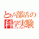 とある部活の科学実験（シャボン玉作り）