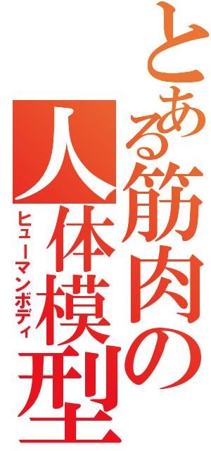 とある筋肉の人体模型（ヒューマンボディ）