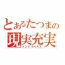 とあるたつまの現実充実（メンタルヘルス）