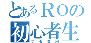 とあるＲＯの初心者生活（ホモ専用）