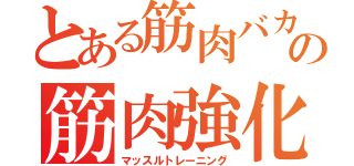 とある筋肉バカの筋肉強化（マッスルトレーニング）