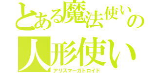 とある魔法使いのの人形使い（アリスマーガトロイド）