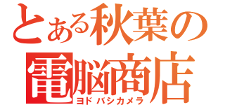 とある秋葉の電脳商店（ヨドバシカメラ）