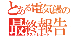 とある電気鰻の最終報告（ラストレポート）