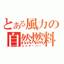 とある風力の自然燃料（エコキーパー）