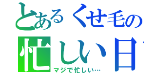 とあるくせ毛の忙しい日（マジで忙しい…）