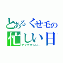 とあるくせ毛の忙しい日（マジで忙しい…）