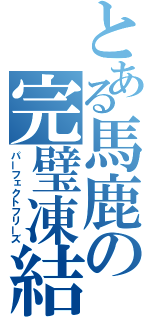 とある馬鹿の完璧凍結（パーフェクトフリーズ）