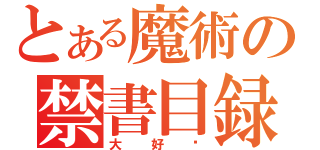 とある魔術の禁書目録（大好）