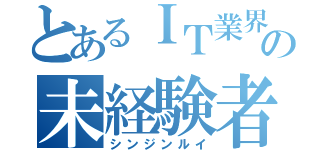 とあるＩＴ業界の未経験者（シンジンルイ）