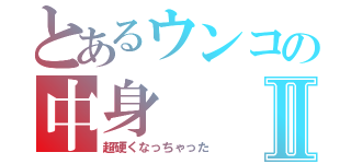 とあるウンコの中身Ⅱ（超硬くなっちゃった）