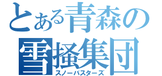 とある青森の雪掻集団（スノーバスターズ）