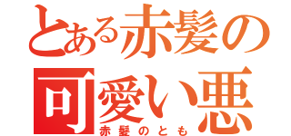 とある赤髪の可愛い悪魔（赤髪のとも）