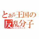 とある王国の反乱分子（レジスタンス）