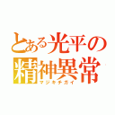 とある光平の精神異常（マジキチガイ）