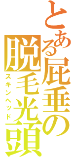 とある屁垂の脱毛光頭（スキンヘッド）