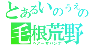 とあるいのうえの毛根荒野（ヘアーサバンナ）