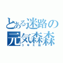 とある迷路の元気森森（３年Ｋ組）