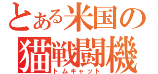 とある米国の猫戦闘機（トムキャット）