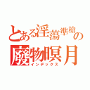 とある淫蕩準槍の廢物暝月（インデックス）