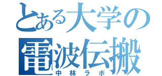 とある大学の電波伝搬（中林ラボ）