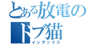 とある放電のドブ猫（インデックス）