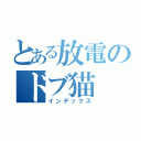 とある放電のドブ猫（インデックス）