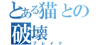 とある猫との破壊（ブレイク）