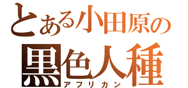 とある小田原の黒色人種（アフリカン）