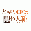 とある小田原の黒色人種（アフリカン）