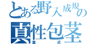 とある野入成規の真性包茎（童貞）