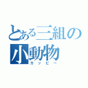 とある三組の小動物（カッピー）