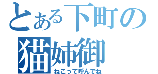 とある下町の猫姉御（ねこって呼んでね）