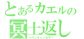 とあるカエルの冥土返し（ヘヴンキャンセラー）