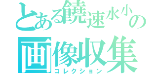 とある饒速水小白主の画像収集（コレクション）