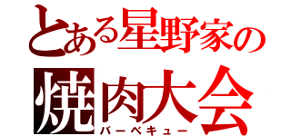 とある星野家の焼肉大会（バーベキュー）